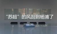 “苏超”的风刮到杨浦了	！这场足球赛新星闪耀
