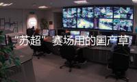 “苏超”赛场用的国产草
，到底有多能打？