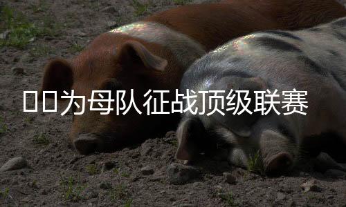 战顶因规定无法免费签约