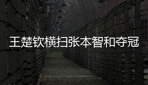 反正这次王楚钦击溃张本智和