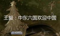 王毅：中东六国欢迎中国在中东事务发挥更大作用