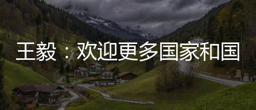 王毅帮助非洲克服困难