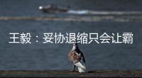 王毅：妥协退缩只会让霸凌者得寸进尺