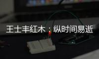 王士丰红木：纵时间易逝，唯经典永流传