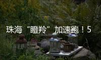 珠海“瞪羚”加速跑	！57家企业上榜	，新一代信息技术“领衔”
