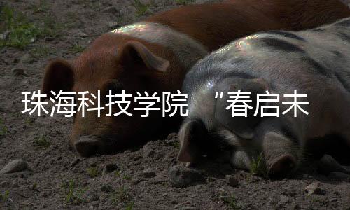 学院系列通过 AI 赋能就业