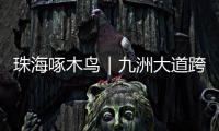 珠海啄木鸟｜九洲大道跨白石路桥路段已整改！新增“均可直行 请勿停留”路牌