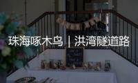 珠海啄木鸟｜洪湾隧道路面破损20米
，却迟迟未修