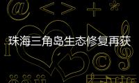 珠海三角岛生态修复再获国家级认可，二次入选海洋保护典型案例​