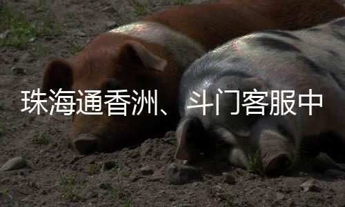 斗门客服中心24小时自助机