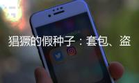 猖獗的假种子�：套包、盗取、打假