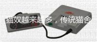 猫奴越来越多	�，传统猫舍却开不下去了？