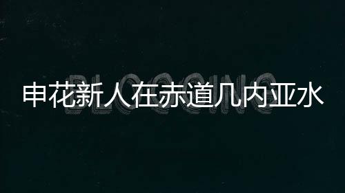 米内罗的申花水平水货受伤