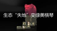 生态“失地”变绿美横琴，历经15年这里成为生态新家园