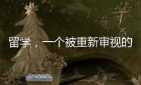 快排公司十年历程，霸屏兔 seo 的崛起与坚守