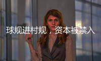 快排公司十年历程，霸屏兔 seo 的崛起与坚守