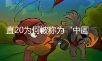 直20为何被称为“中国版黑鹰”�？｜2022航展