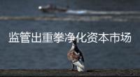 监管出重拳净化资本市场�：IPO倒查十年，对违法违规上“硬措施”
