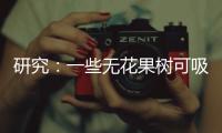 研究	：一些无花果树可吸收并“石封”大气中二氧化碳