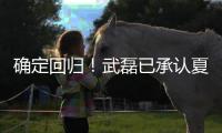 确定回归	
！武磊已承认夏窗回归上海海港队