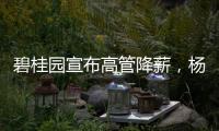 碧桂园宣布高管降薪，杨惠妍莫斌调整后年薪12万元