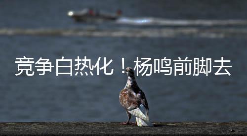 都会倾其所有表现自己