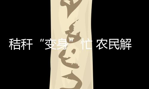 饲料化�、变身通过秋整地