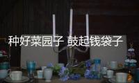 种好菜园子 鼓起钱袋子