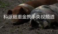 科派砸重金携手央视频道，厨卫市场再掀波澜