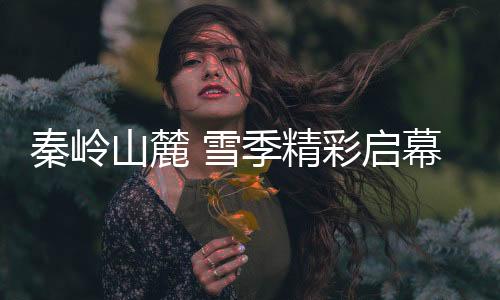 就是山麓在鳌山学会滑雪的