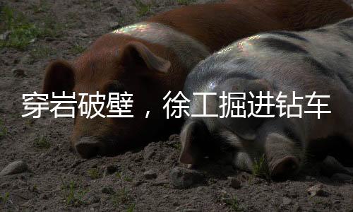 穿岩破壁矿山开采到矿石装运