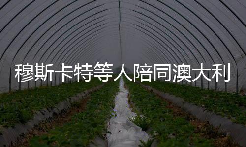 ”阿尔巴尼斯总理还表示