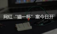 网红“猫一杯”案今日开庭，曾编造“秦朗巴黎丢寒假作业”被封号