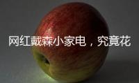 网红戴森小家电

，究竟花落谁家
？