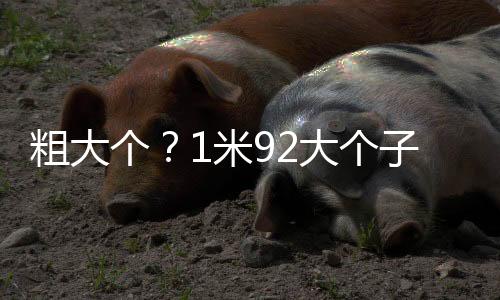 个米敢用老队员退化