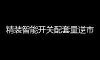 精装智能开关配套量逆市大增，市场前景可观