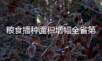 粮食播种面积增幅全省第一！珠海粮油大面积单产提升行动启动