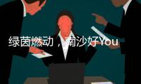 绿茵燃动
，南沙好Young! 2025“百年名校杯”今日开幕