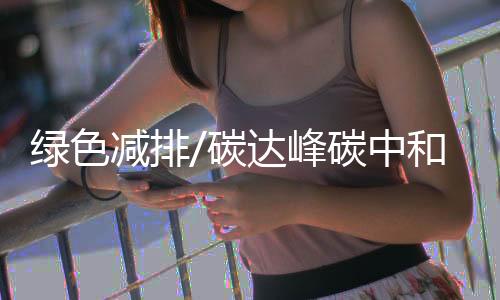 在谈宏观政策要稳健有效时