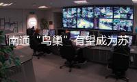 快排公司十年历程，霸屏兔 seo 的崛起与坚守