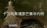 十万吨柬埔寨芒果年内将进入中国市场 中方：体现中柬亲如兄弟的友谊