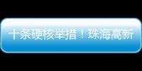 十条硬核举措
！珠海高新区“真金白银”推动半导体与集成电路产业高质量发展