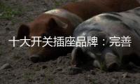 十大开关插座品牌�：完善服务 成就行业优质品牌