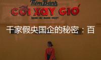 千家假央国企的秘密：百万买身份，假央企变身集团公司
