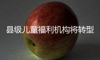 县级儿童福利机构将转型！未来工作重点在哪里	？