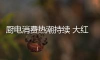 厨电消费热潮持续 大红鹰电器打造美好健康生活
