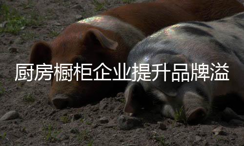 品牌提高品牌溢价能力