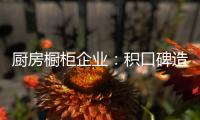 厨房橱柜企业
：积口碑造精品 重营销讲服务