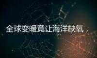 全球变暖竟让海洋缺氧�，3亿年前气候状态警示危机