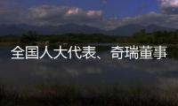 全国人大代表
、奇瑞董事长尹同跃：恶性竞争的“价格战”伤人伤己